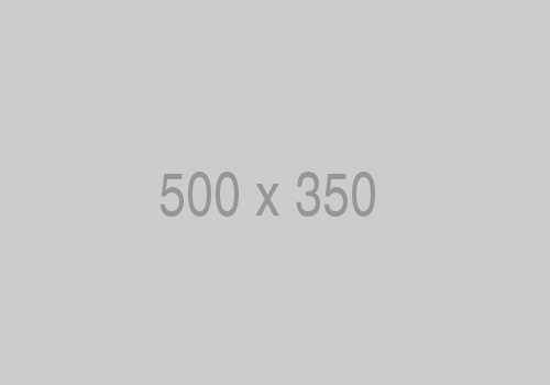 500x350